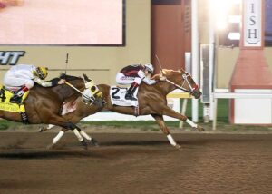 Heritage Place Futurity Winner BV MIDNITE EXPRESS