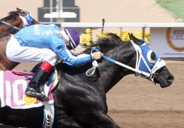 West Texas Derby winner I Azoomed You Knew will head Sunday's Heritage Place Derby (G2) trials at Remington Park. © Coady Photography 