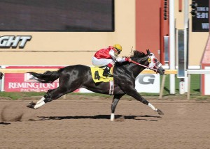 Shaken Pappasito ( Pappasito - Shaken Easy Dash by Dashin Is Easy) © Dustin Orona Photo