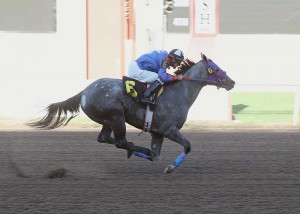 Regard With Respect fastest qualifier on 1st night of trails at Remington Park for the 2015 Heritage Place Futurity [G1]