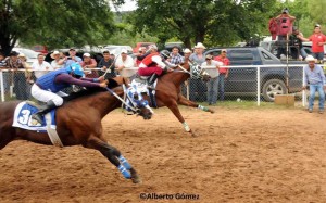 Baruch 2015 Rubio Futurity Winner