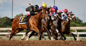 Heritage Place Graduates run 1 - 2 in the FL Lady Bug Stakes at Remington Park. © Bee Silva Photo