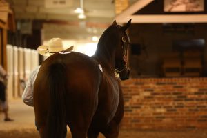 2016 Heritage Place Thoroughbred Sale