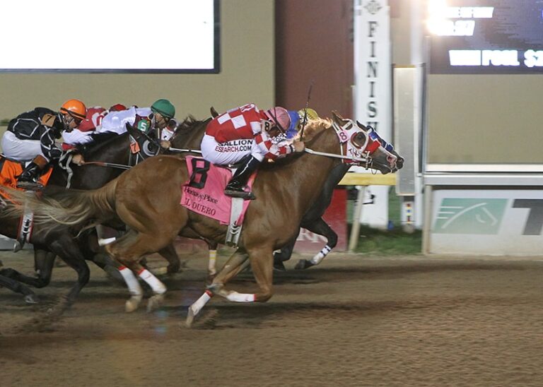 BP CARTELS ALIBI wins Million Dollar Futurity!