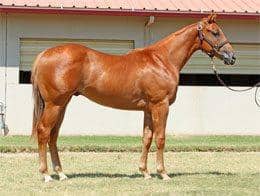 Surging Market, a colt by Corona Cartel, topped the 2012 Heritage Place September sale at $185,000.