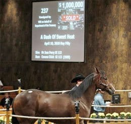 $1,000,000 FILLY PRODUCES AWESOME MOMENT