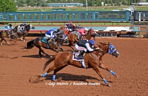 Bodacious Eagle takes Higheasterjet Handicap