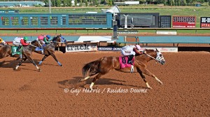 Hold Air Hostage wins Rainbow Derby