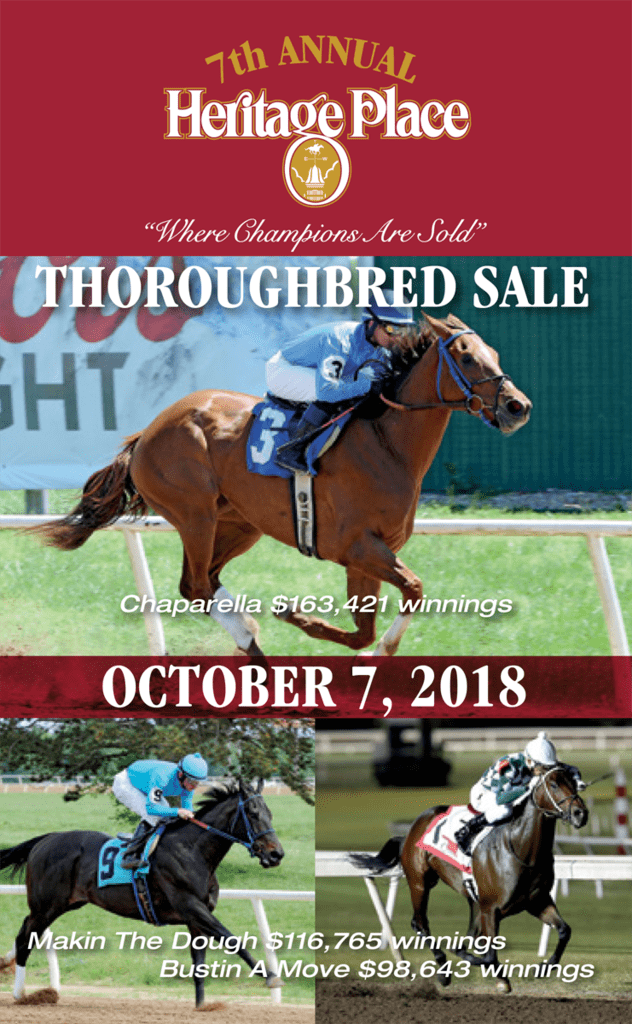 2018 Thoroughbred Sale Heritage Place