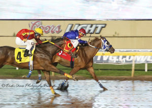 Jesses Dashair Heritage Place Futurity Day 1 Fastest Qualifier