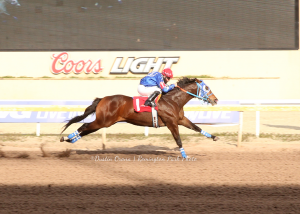 Seven Tales Fastest Qualifier to the 2020 Oklahoma Futurity