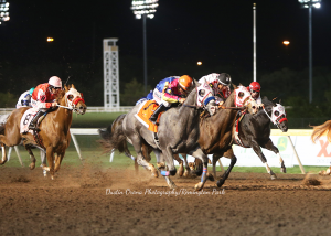 Shott Gun Winner 2020 Heritage Place Grade 1 Futurity