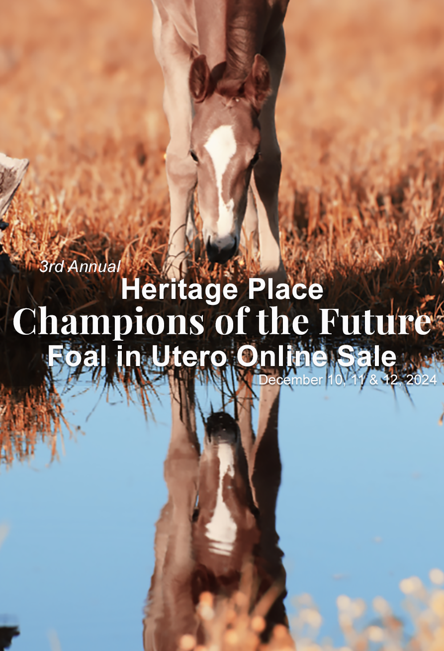 3rd Annual Champions of the Future Foal in Utero Online Sale Heritage